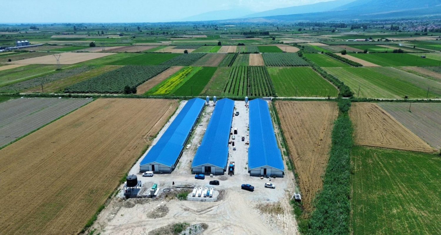 Πτηνοτροφική Μονάδα Θερμοκηπιακού Τύπου
